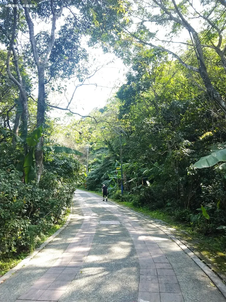 新店二叭子植物園｜享受山林森林浴的好走親子步道！ | 八鼠的慵懶生活