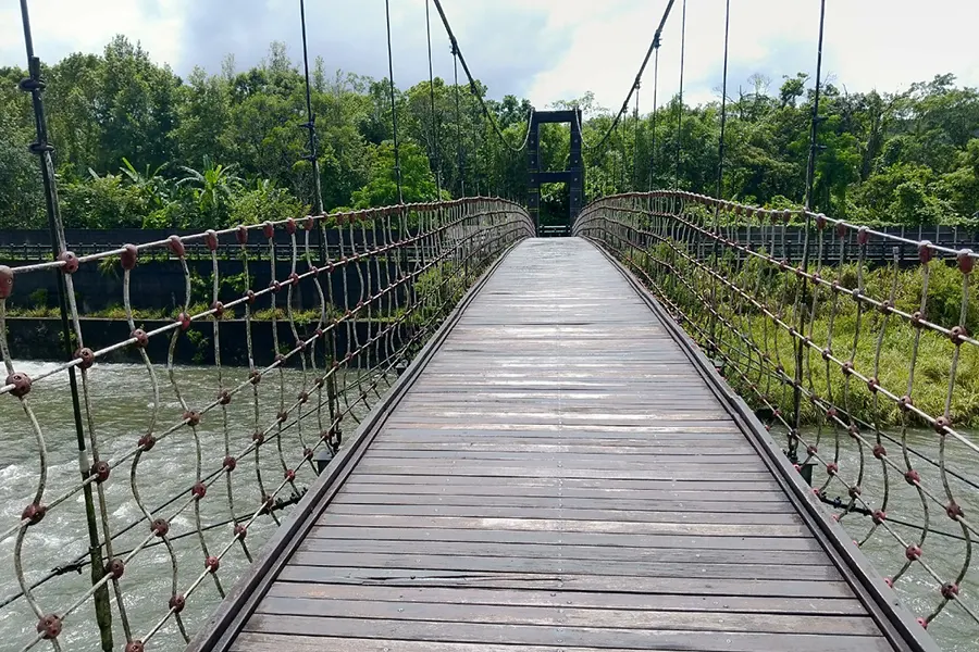 坪林親水吊橋走到坪林茶業博物館，漫步體驗大自然與茶葉文化【坪林一日行程】 | 八鼠的慵懶生活