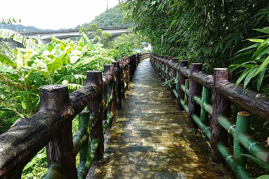 坪林親水吊橋走到坪林茶業博物館，漫步體驗大自然與茶葉文化【坪林一日行程】 | 八鼠的慵懶生活